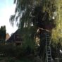 Projektbeginn Baumhaus