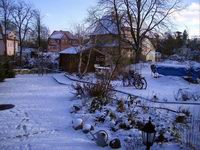 Wiese