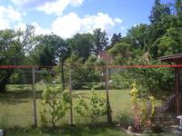 Sommer