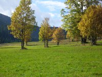 bild005