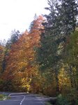 bild006