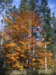 bild002