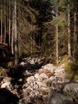 bild2