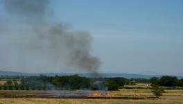Feuer