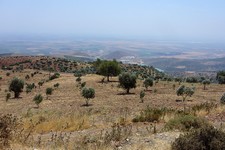 Landschaft2
