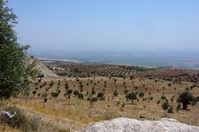 Landschaft1