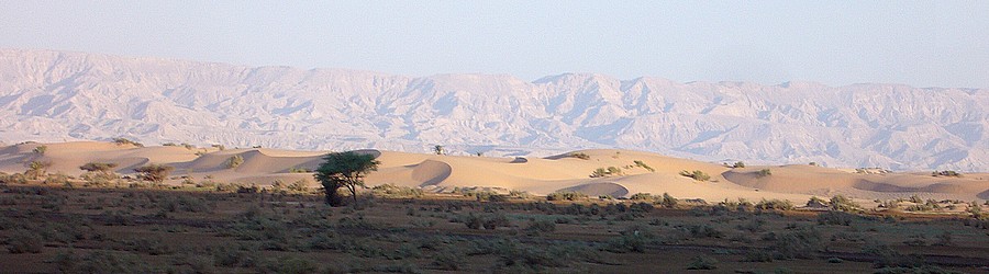 Wüste